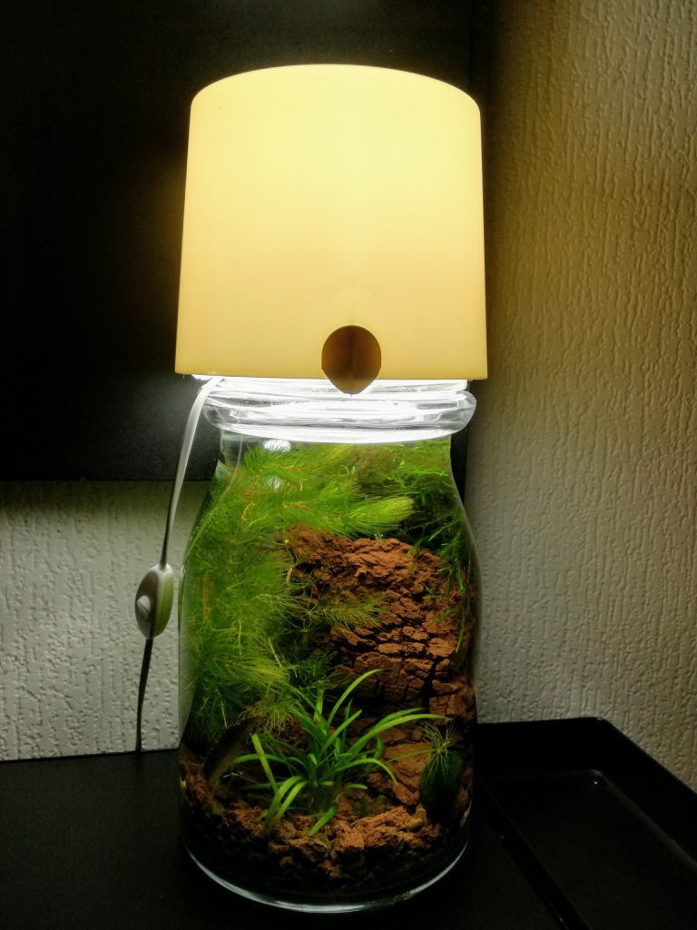 Une lampe aquarium